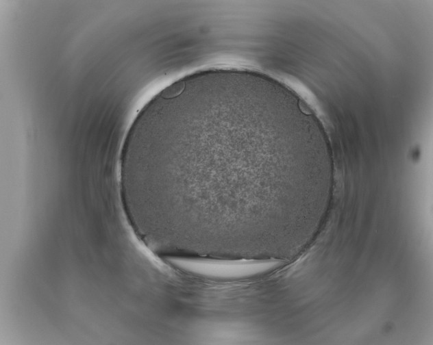 X0000090441335200707272146