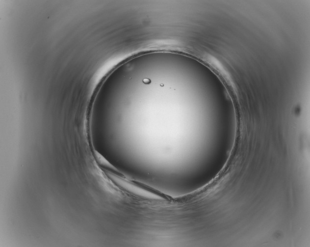 X0000090441336200707272146