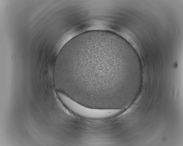 X0000090441337200707272146