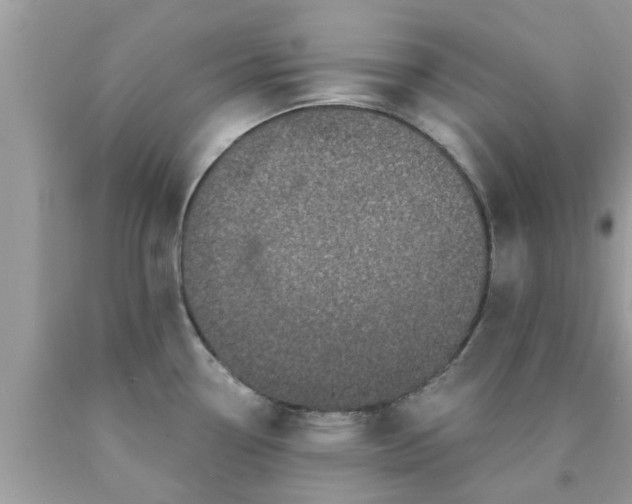 X0000090441338200707272146