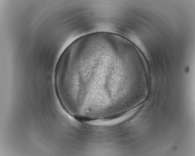 X0000090441339200707272146