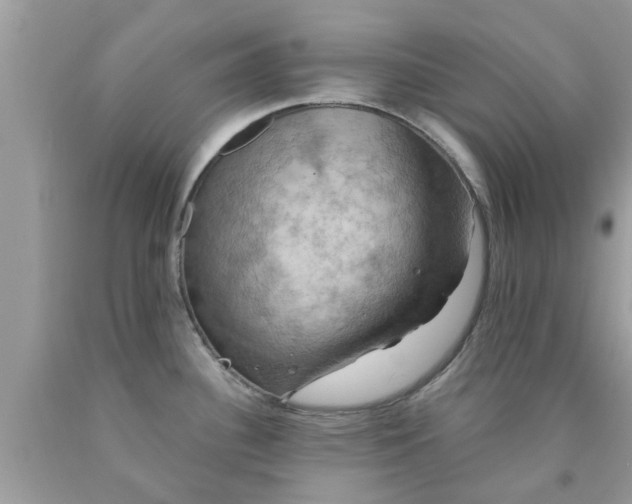 X0000090441340200707272146