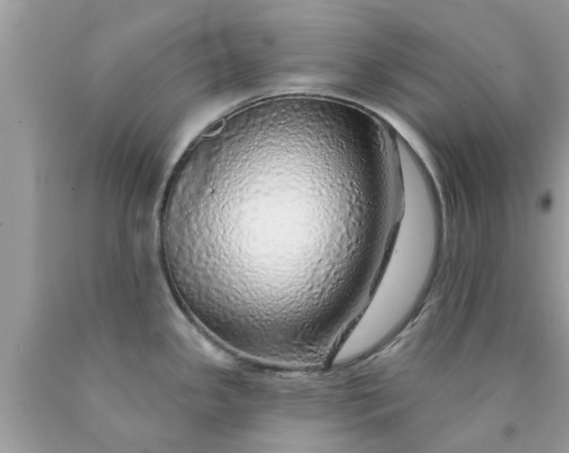 X0000090441341200707272146