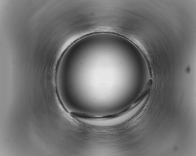 X0000090441342200707272146