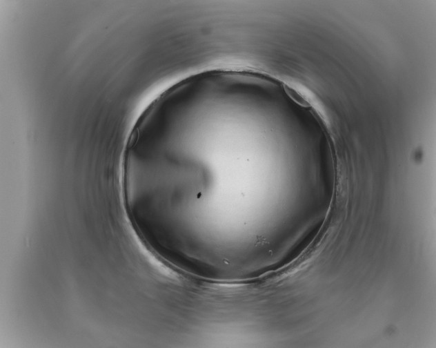 X0000090441343200707272146