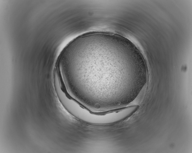 X0000090441344200707272146