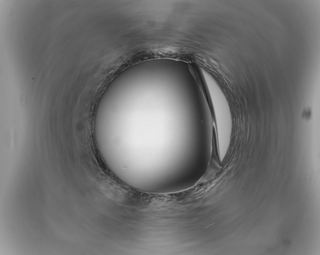 X0000090441345200707272145