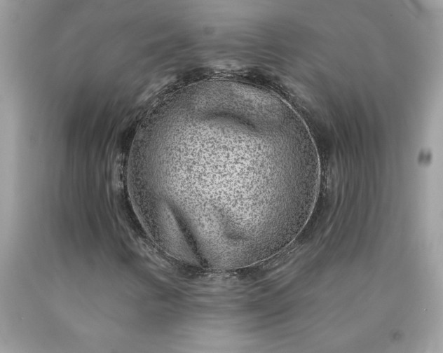 X0000090441346200707272145