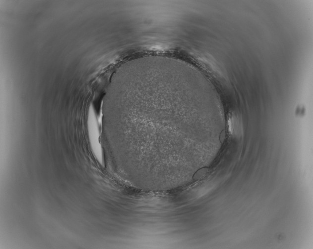 X0000090441347200707272145