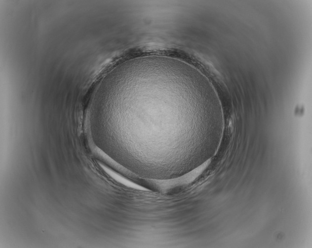 X0000090441348200707272145