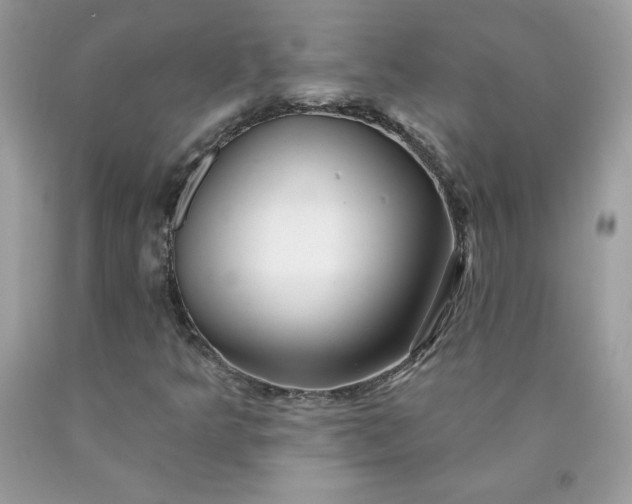 X0000090441349200707272145