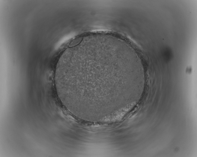 X0000090441351200707272145