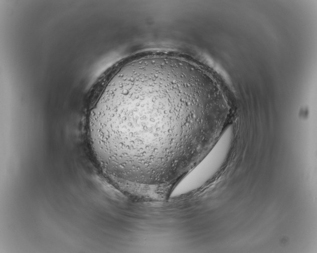 X0000090441352200707272145