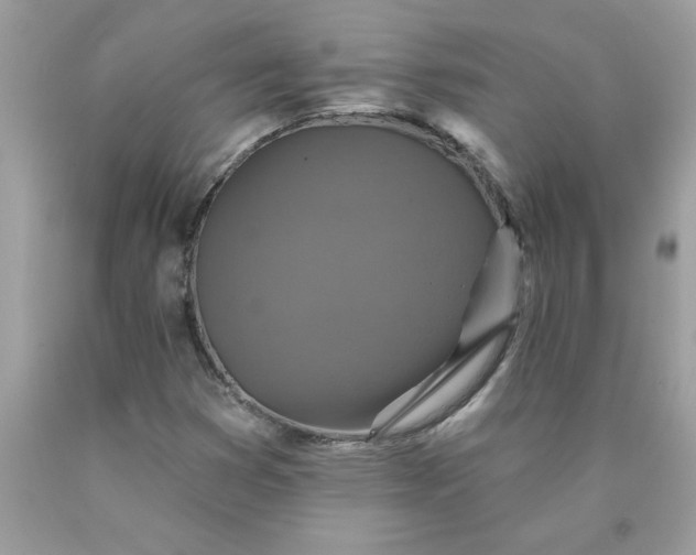 X0000090441353200707272145