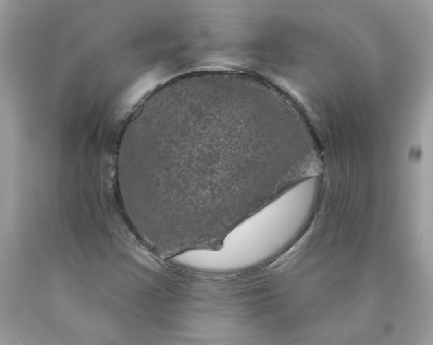 X0000090441355200707272145