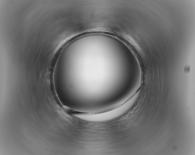 X0000090441356200707272145