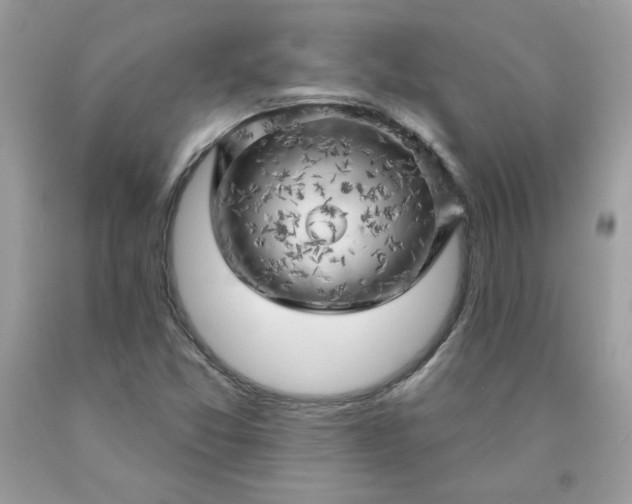 X0000090441357200707272145