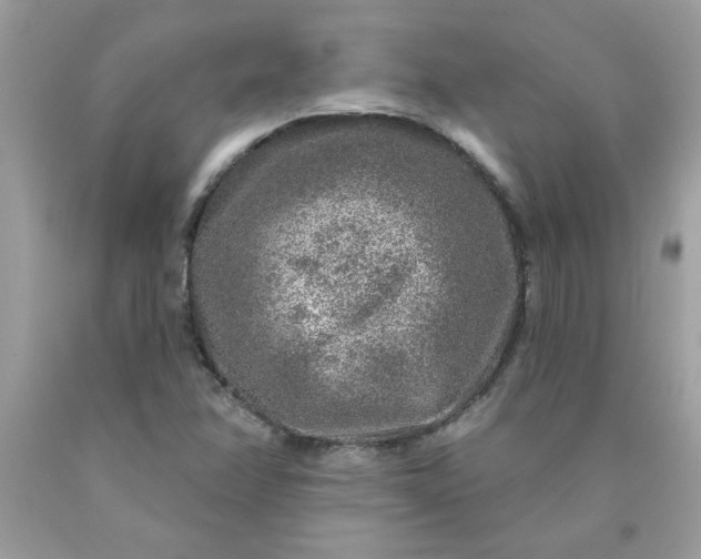 X0000090441358200707272145