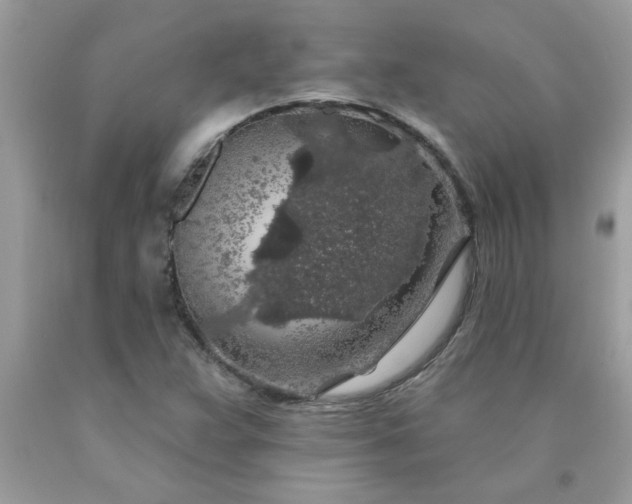 X0000090441359200707272145