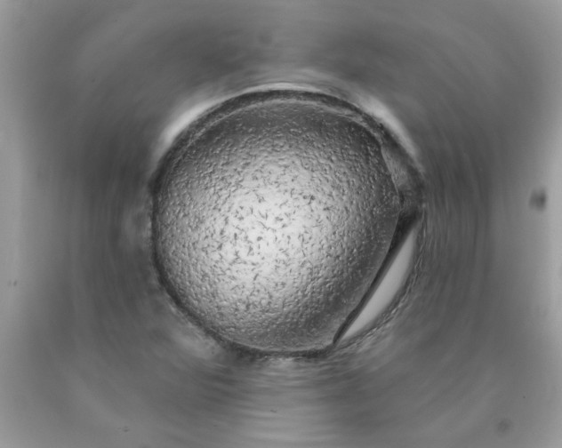 X0000090441360200707272145