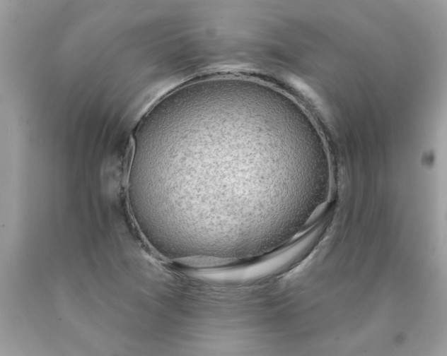 X0000090441361200707272145