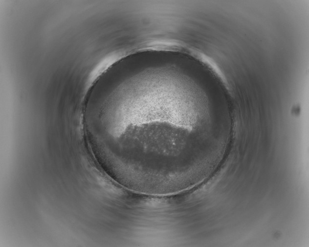 X0000090441362200707272145