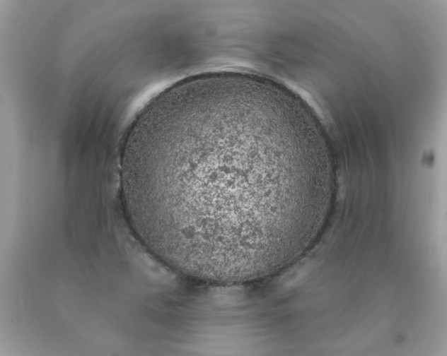 X0000090441363200707272145