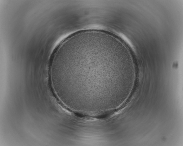 X0000090441364200707272145