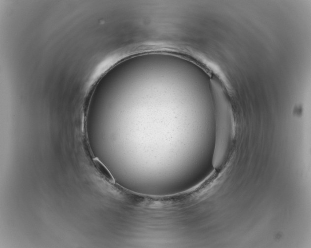 X0000090441365200707272145