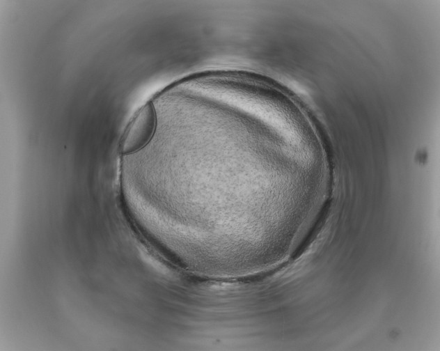 X0000090441366200707272145