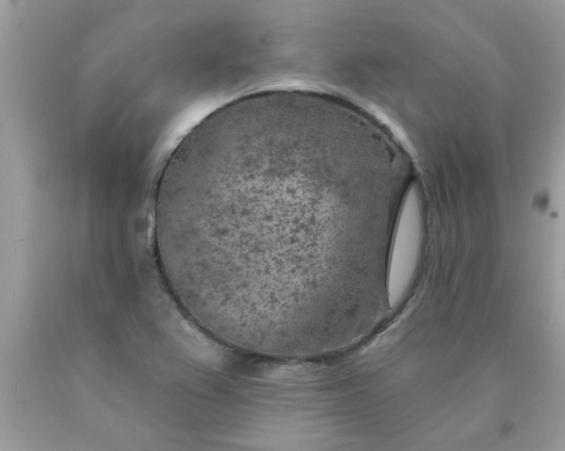 X0000090441367200707272145