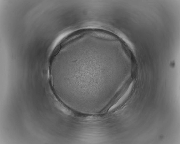 X0000090441368200707272145