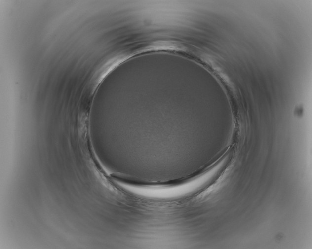 X0000090441369200707272145