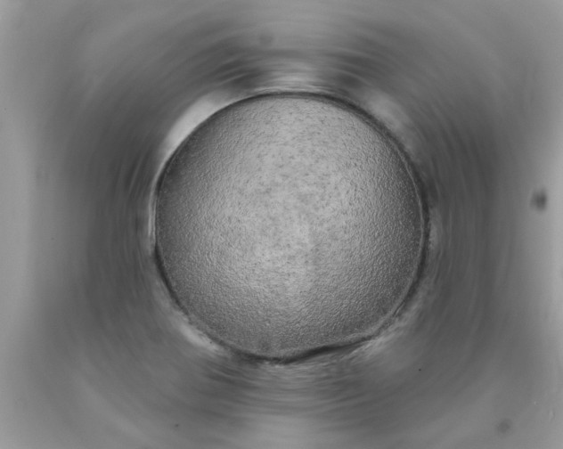 X0000090441370200707272145