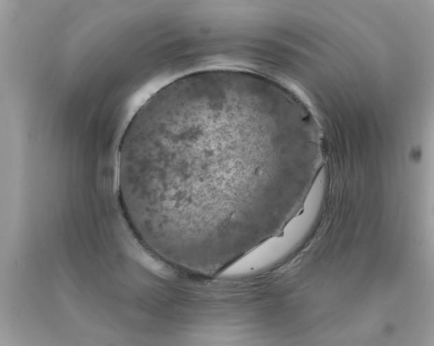 X0000090441371200707272145