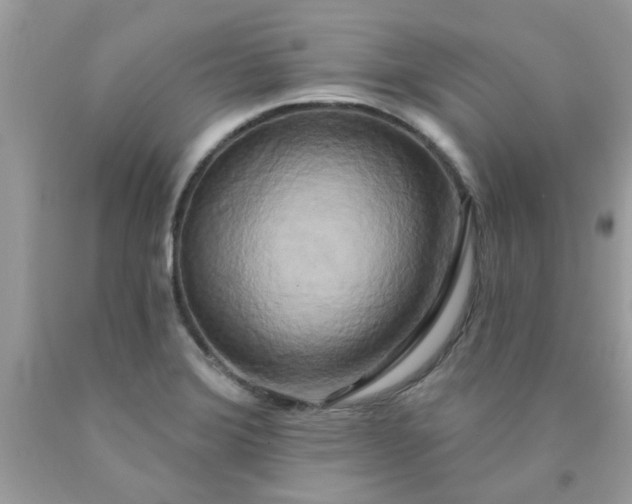 X0000090441372200707272145