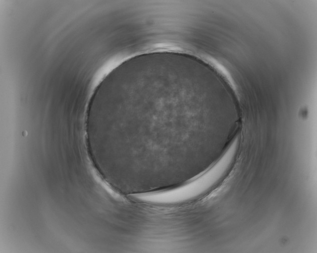 X0000090441373200707272145