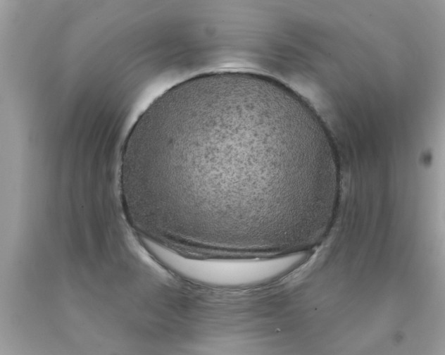 X0000090441374200707272145