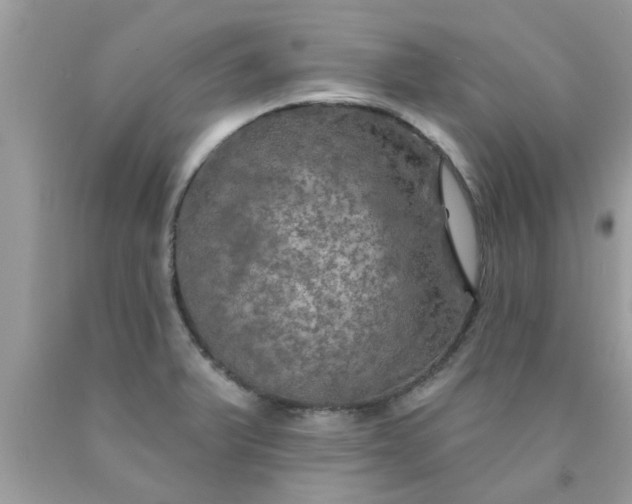 X0000090441375200707272145