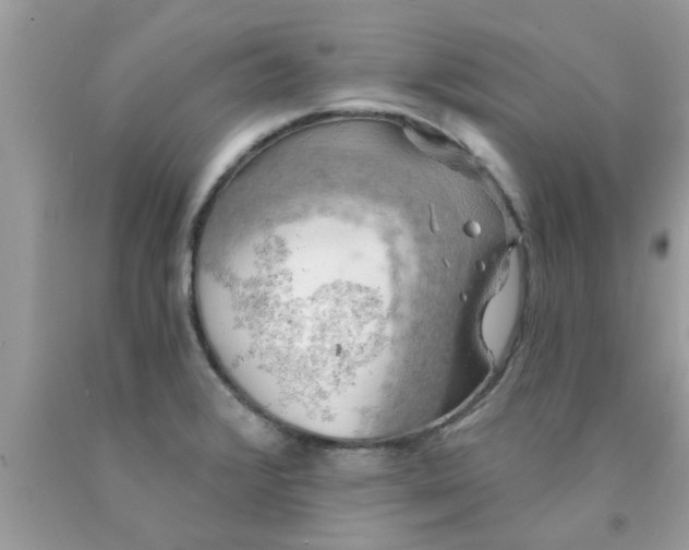 X0000090441376200707272145