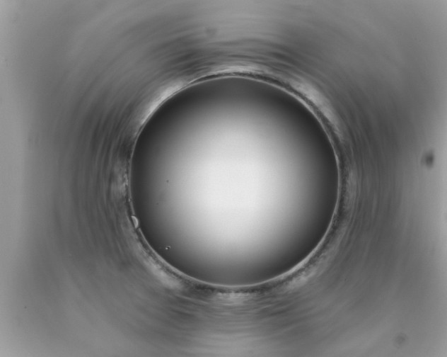 X0000090441377200707272145