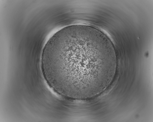 X0000090441379200707272145