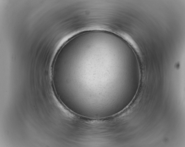 X0000090441380200707272145