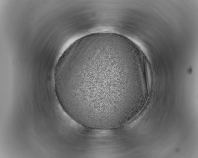 X0000090441382200707272145