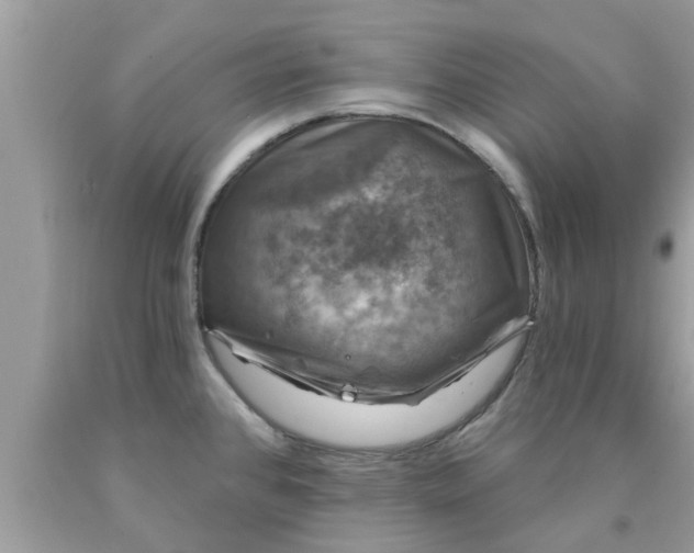 X0000090441384200707272145