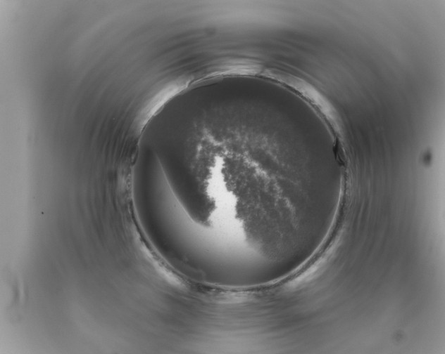 X0000090441385200707272145