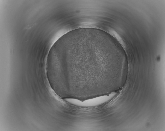 X0000090441386200707272145