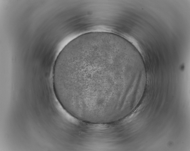 X0000090441387200707272145