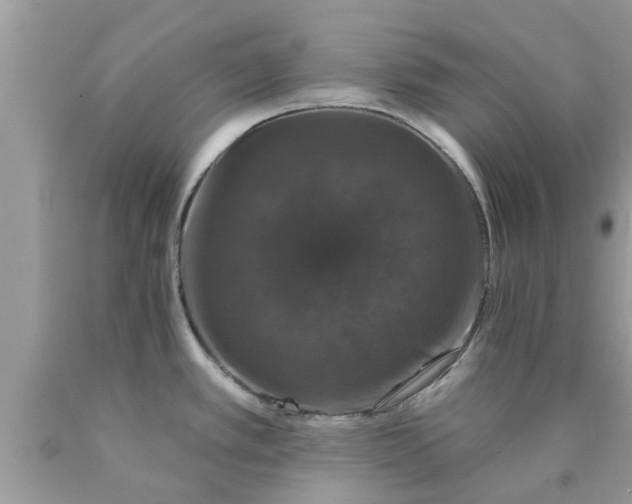 X0000090441389200707272145