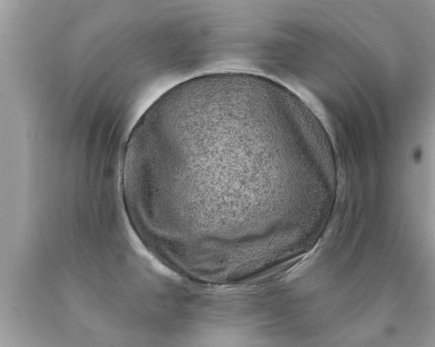 X0000090441390200707272145